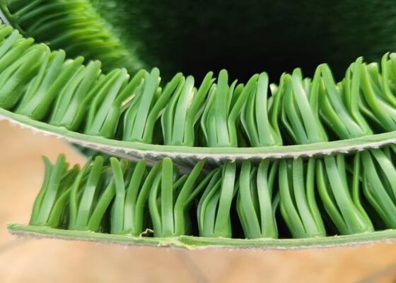 Gold Washing Plant Grass Mat for Improved Recovery Rates