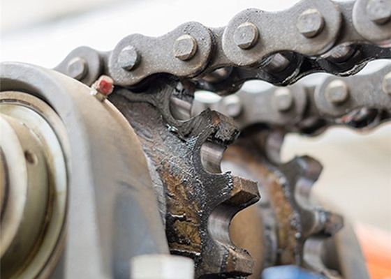 Industrial Conveyors For Paper Plant In The Pulp And Paper Industry