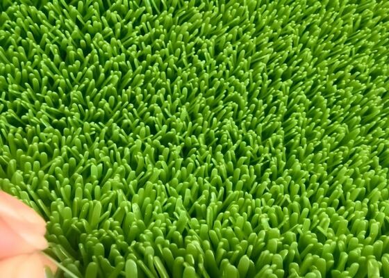 Thảm thảm khai thác mìn hạng nặng cho chế biến vàng lưu lưu