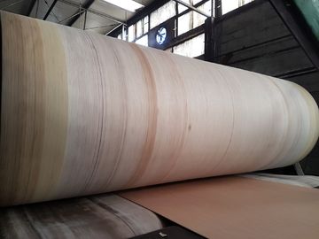 Aramid Edge Corrugator Belt Độ bền cao cho BHS, FOSBER, MARQUIP Corriled Line